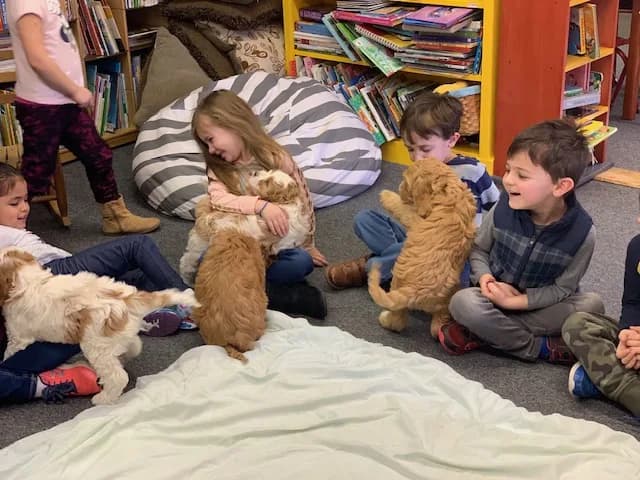 Pre-School Therapy Dog Session photo