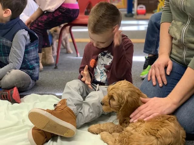 Pre-School Therapy Dog Session photo