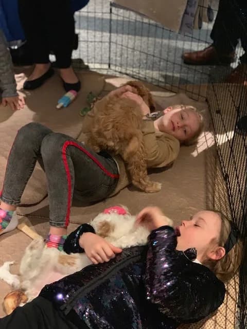 Puppy Party photo
