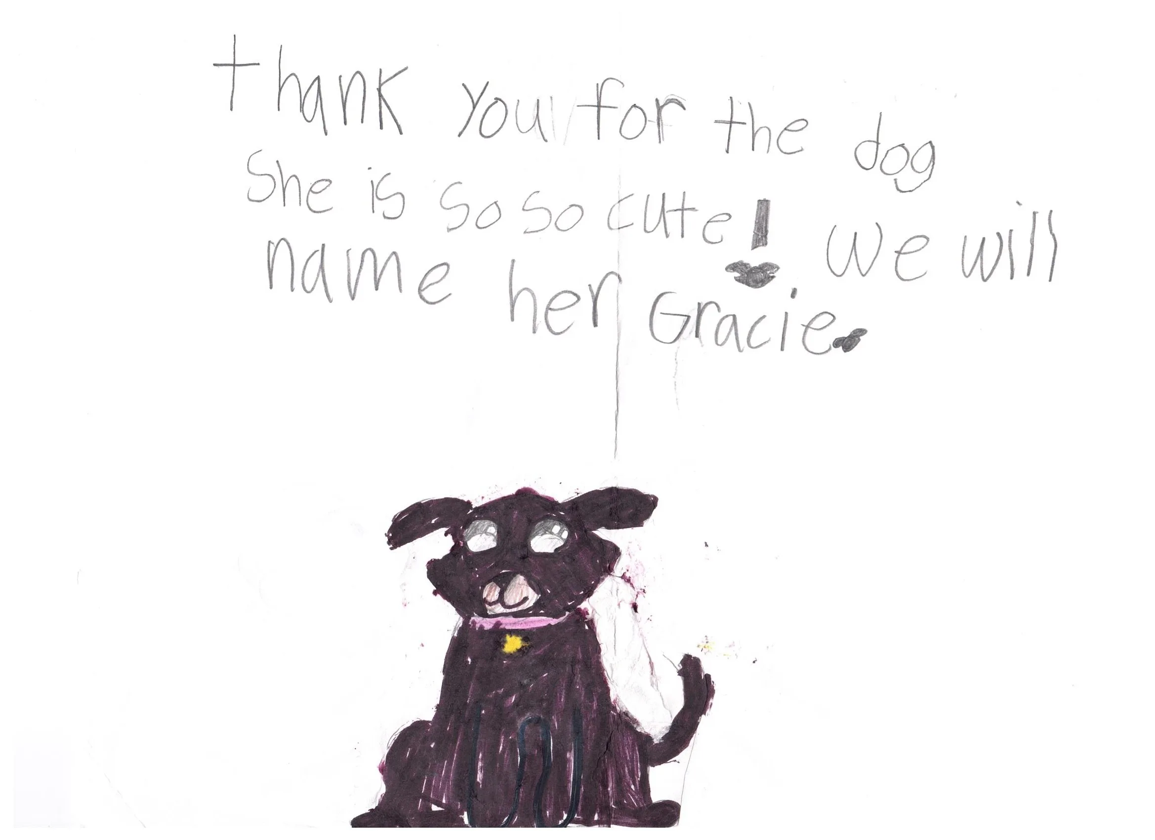 A thank-you note from one of our puppy families