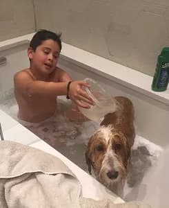 A thank-you note from one of our puppy families