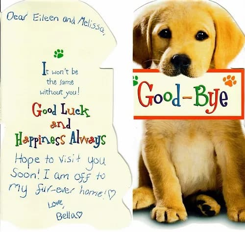 A thank-you note from one of our puppy families