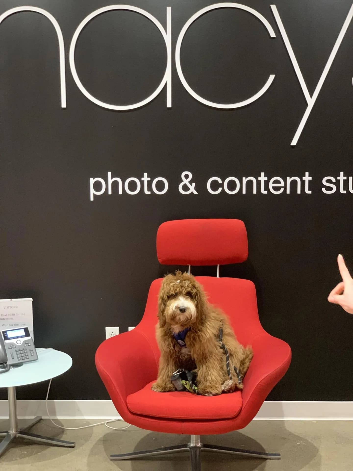Macy's photo