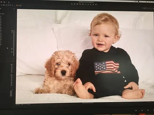 Ralph Lauren photo