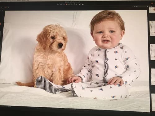 Ralph Lauren photo