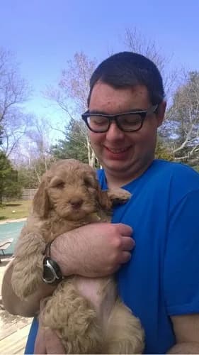Joe with his therapy dogs
