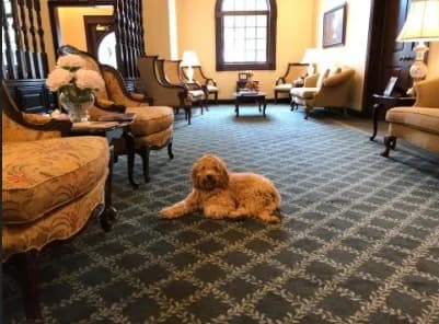 Hudson at the Branch Funeral Homes