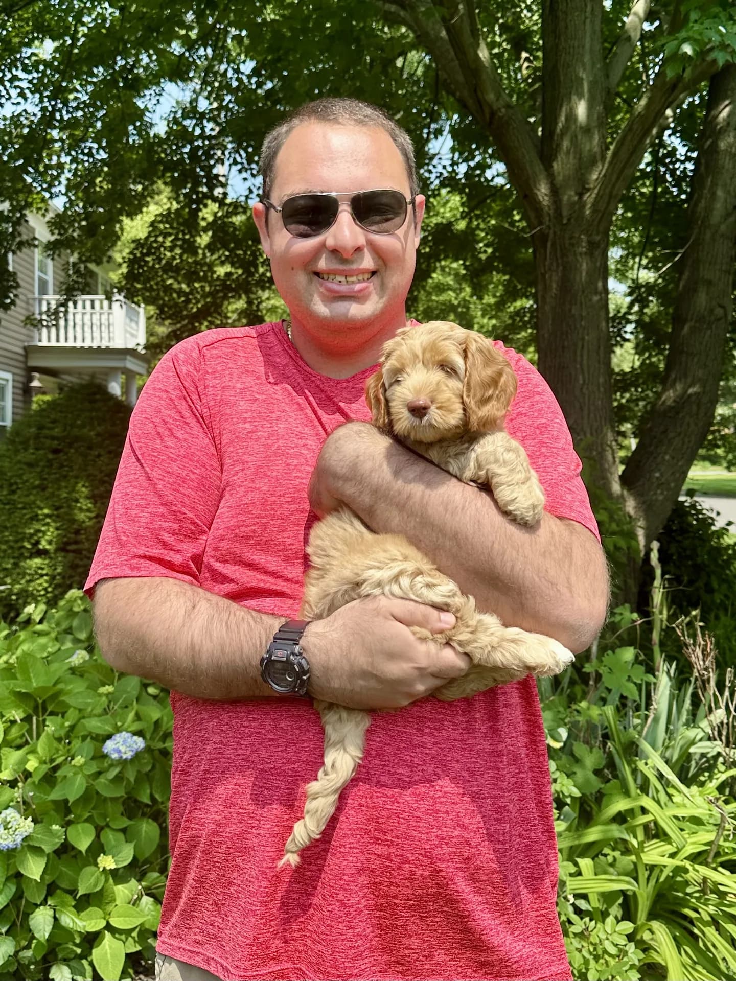 Joe with his therapy dogs