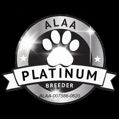 ALAA Platinum Paw